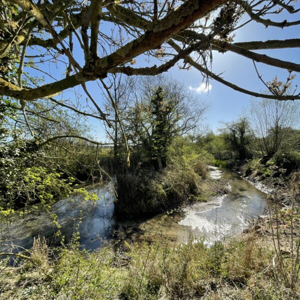 JSR Farms Chalk Stream Sanctuary