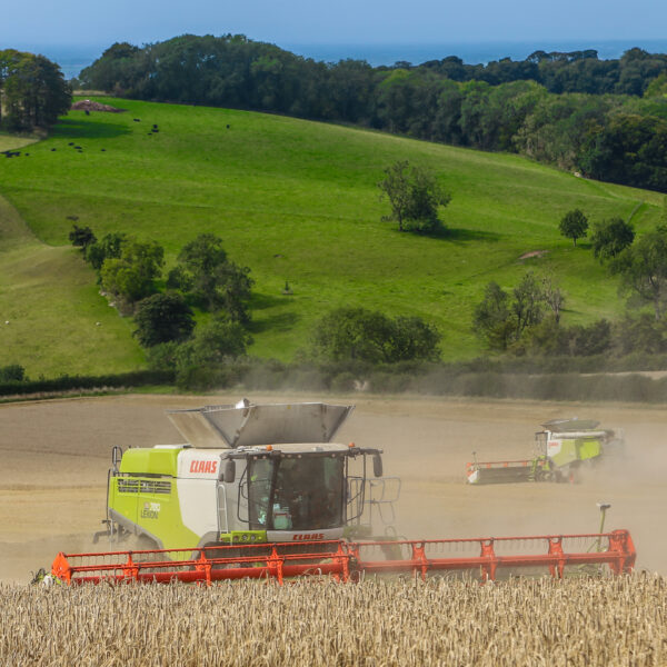 JSR Farms Claas Combine at Givendale