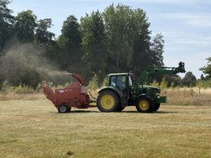 Green hay increasing biodiversity at JSR's chalk stream sanctuary